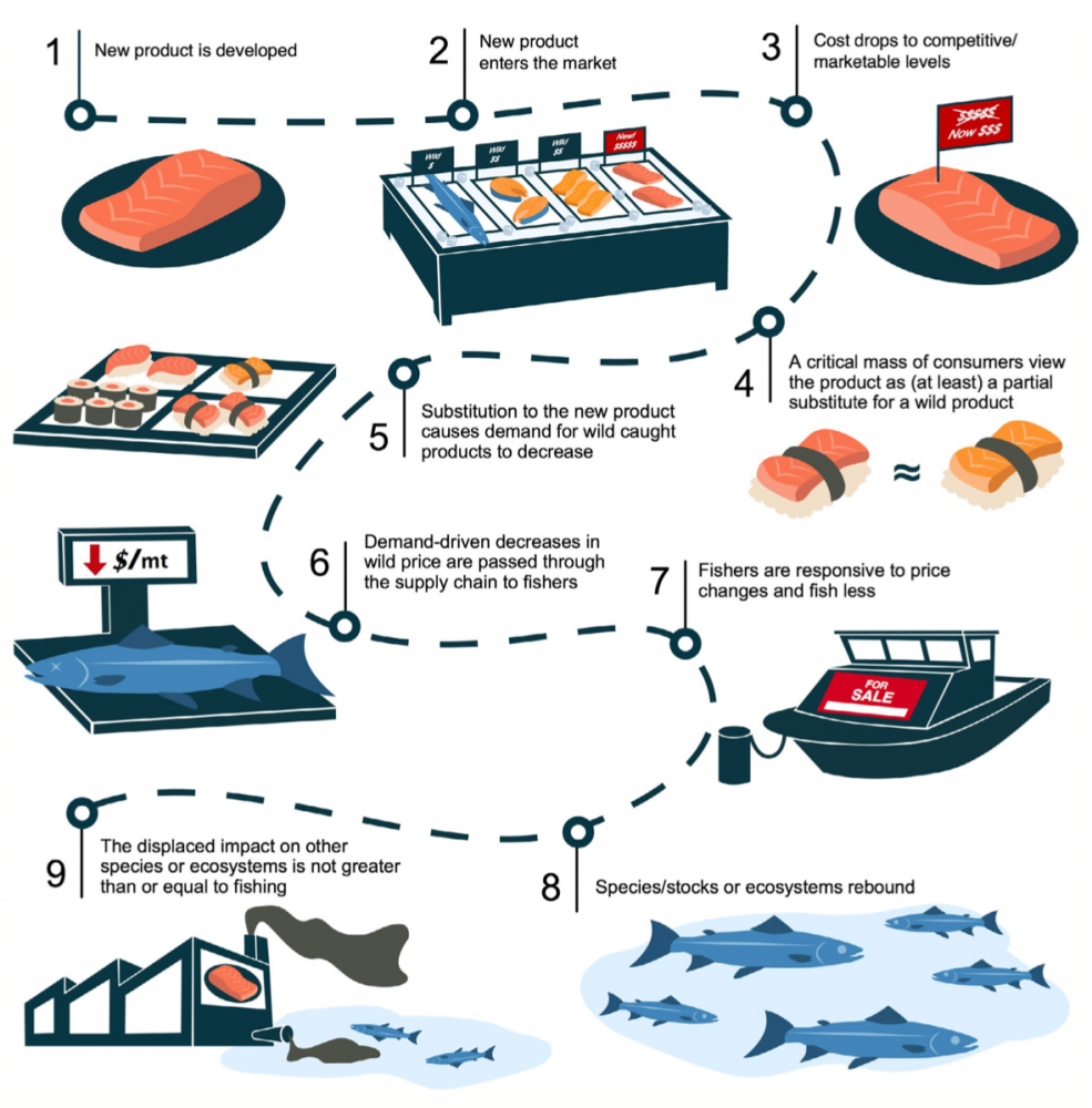 A nine-step path from the development of cell-based seafood to conservation benefits.